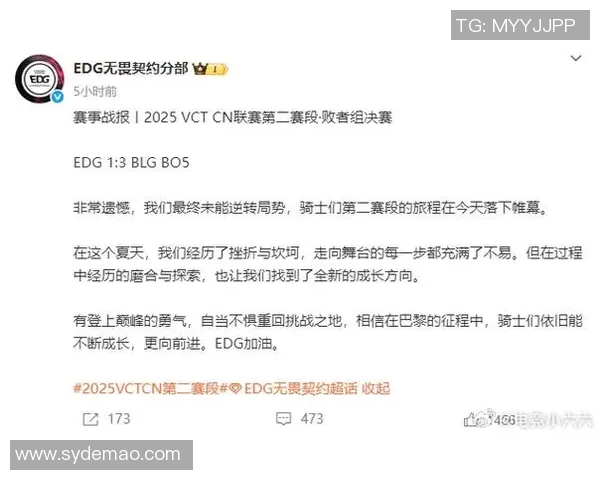 赛后分析EDG与BLG对决中的战术意识与团队配合探讨