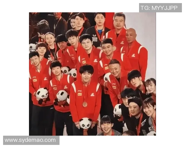 成都乒乓球队团队协作引发热议球员间默契与竞争的微妙平衡