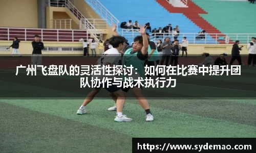 广州飞盘队的灵活性探讨：如何在比赛中提升团队协作与战术执行力