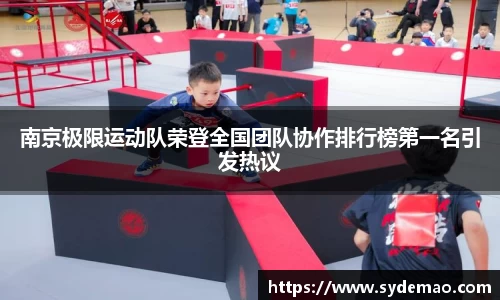 南京极限运动队荣登全国团队协作排行榜第一名引发热议
