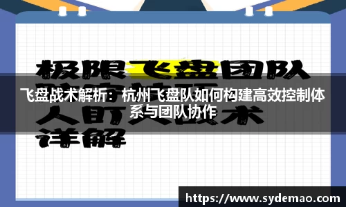 飞盘战术解析：杭州飞盘队如何构建高效控制体系与团队协作